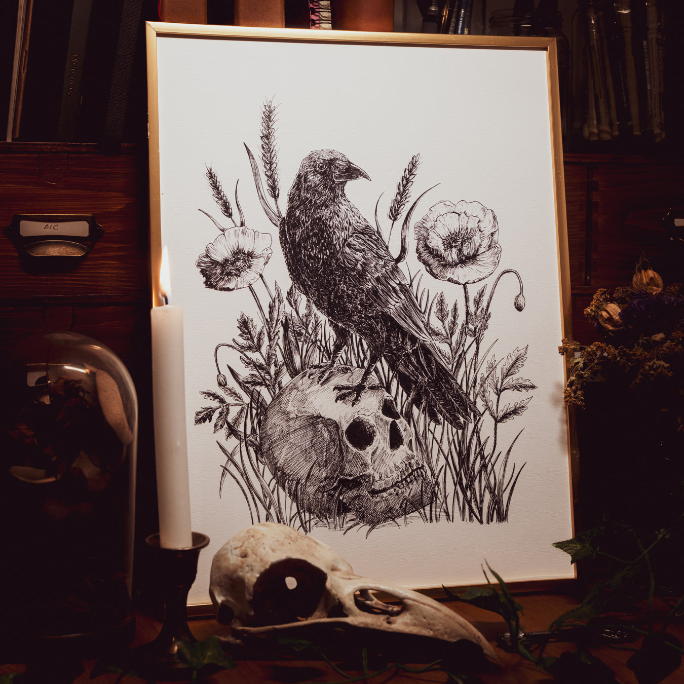 Illustration d'un corbeau trônant sur un crâne humain et entouré de coquelicots
