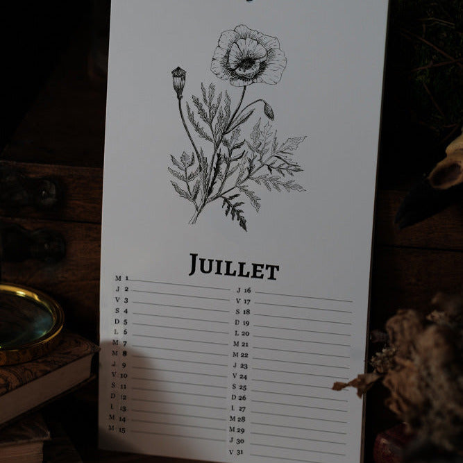 PRÉCOMMANDE - Calendrier 2026 Plantes et champignons