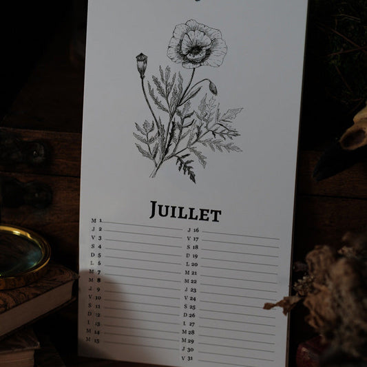 PRÉCOMMANDE - Calendrier 2026 Plantes et champignons