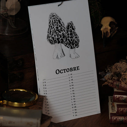 PRÉCOMMANDE - Calendrier 2026 Plantes et champignons